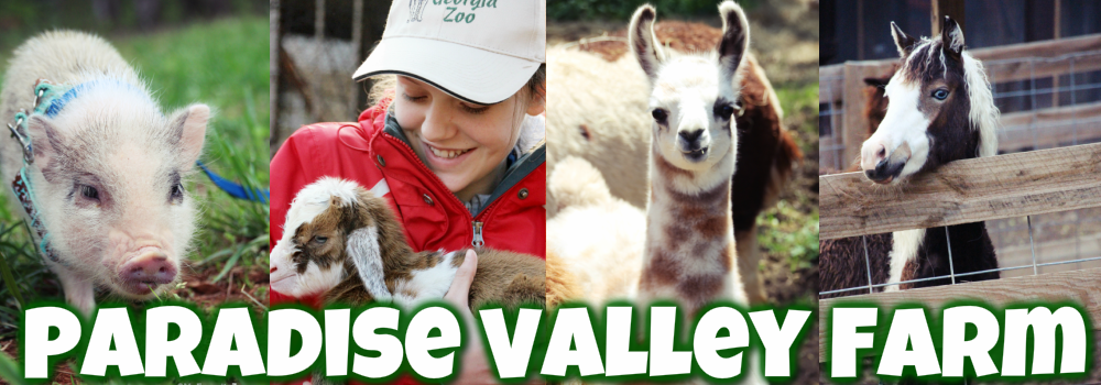 Animals for Sale - Paradise Valley Farm
